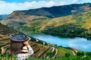 CRUZEIRO E FESTA DA VINDIMA NO DOURO – 2 DIAS