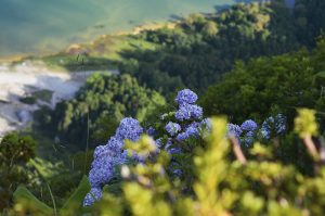 VIVA A NATUREZA, CIRCUITO AÇOREANO – 6 DIAS