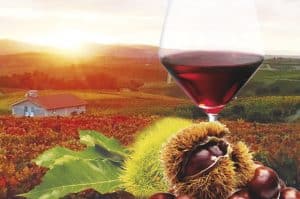 MAGUSTO, VILA REAL E BAIÃO – 2 DIAS
