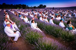 FESTIVAL CAMPOS DE LAVANDA – 3 DIAS