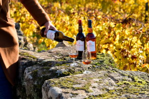À DESCOBERTA DO MOSCATEL DE FAVAIOS – 2 DIAS