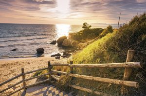 SALOU DE AVIÃO – 8 DIAS