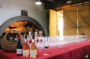 QUINTA DA BOIÇA – 1 DIA