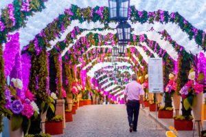 CAMPO MAIOR – 1 DIA