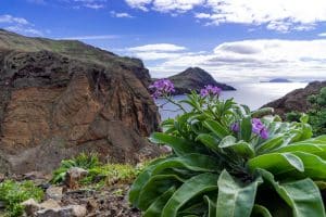 CIRCUITO DAS ILHAS DA MADEIRA E PORTO SANTO – 5 DIAS