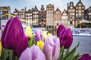 HOLANDA FLORIDA – 4 DIAS